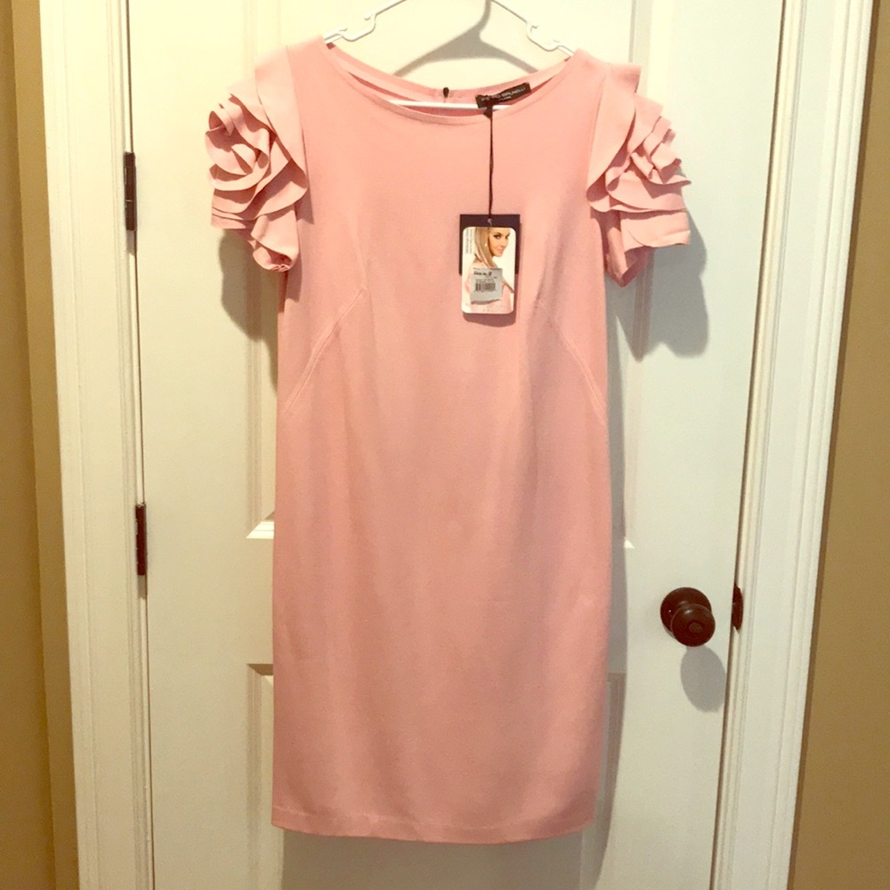 NWT Petro Brunelli/Pea In the Pod maternity dress